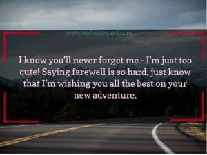 40 Best Farewell Quotes To Say Good Bye