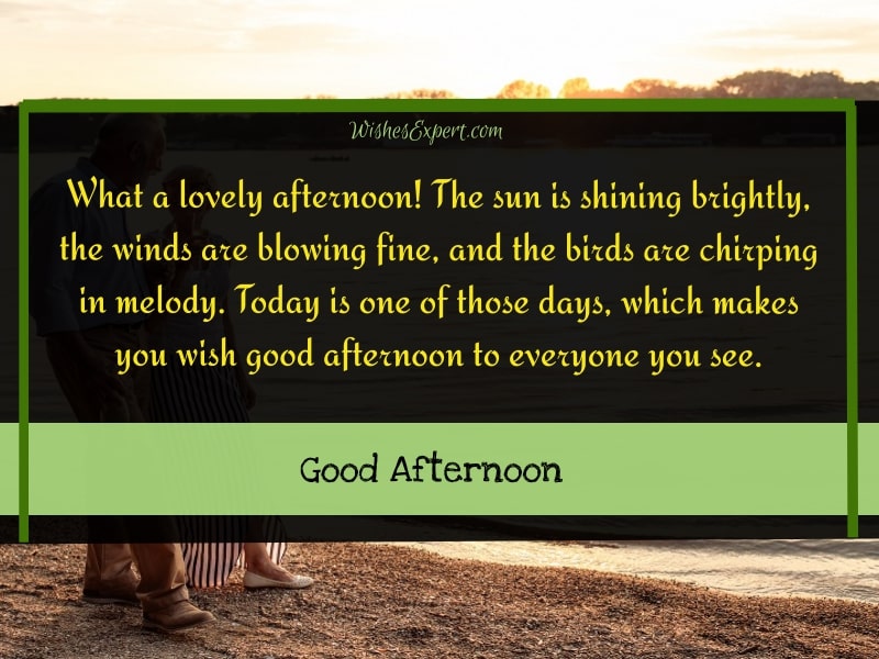 35 Amazing Good Afternoon Wishes To Refresh Moments