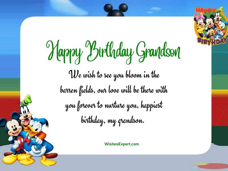 Birthday Wishes And Messages For Grandson