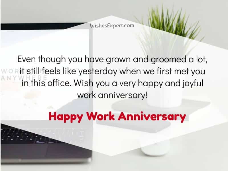 Work Anniversary Quotes and Messages