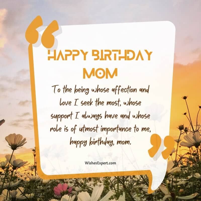 To the being whose affection and love I seek the most, whose support I always have and whose role is of utmost importance to me, happy birthday, mom. 