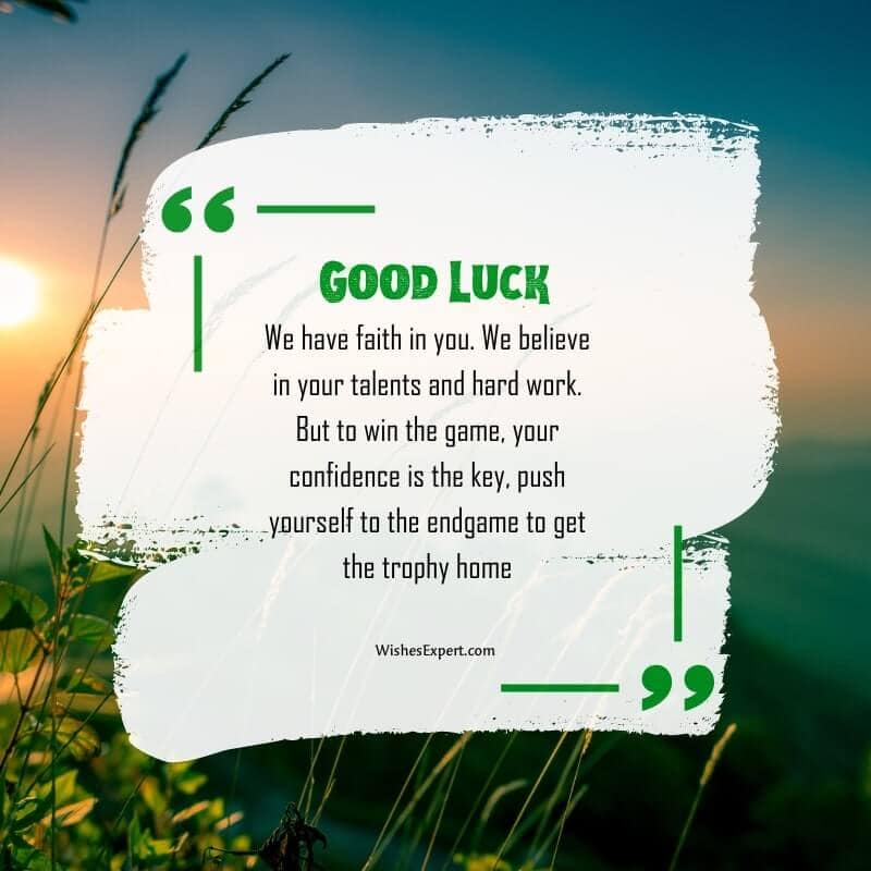 We have faith in you. We believe in your talents and hard work. But to win the game, your confidence is the key, push yourself to the endgame to get the trophy home. Good luck. 