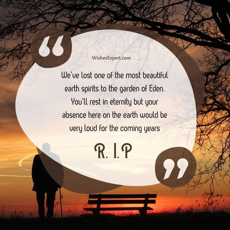 45+ Heart-touching Rest In Peace Quotes And Messages