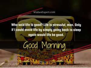 50 Funny Good Morning Quotes, Wishes And Texts