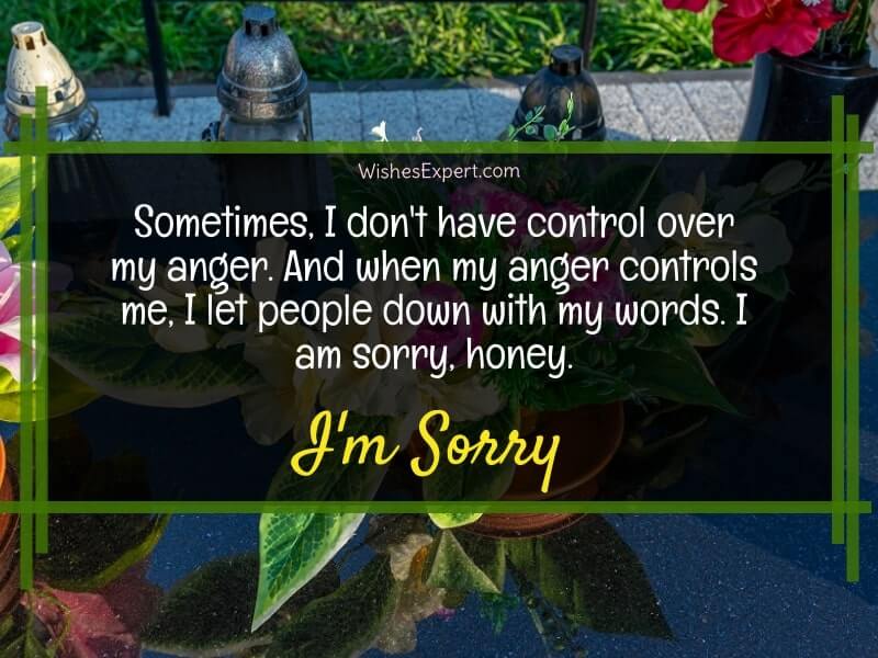 I Am Sorry Quotes For Him