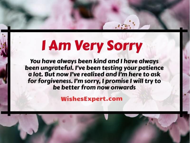 Best I’m sorry messages