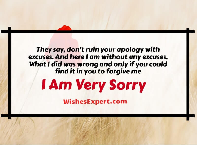 Forgive me I’m sorry quotes