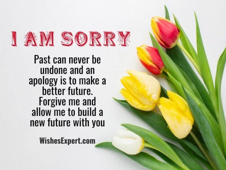 60+ I’m Sorry Quotes And Messages For Perfect Apology