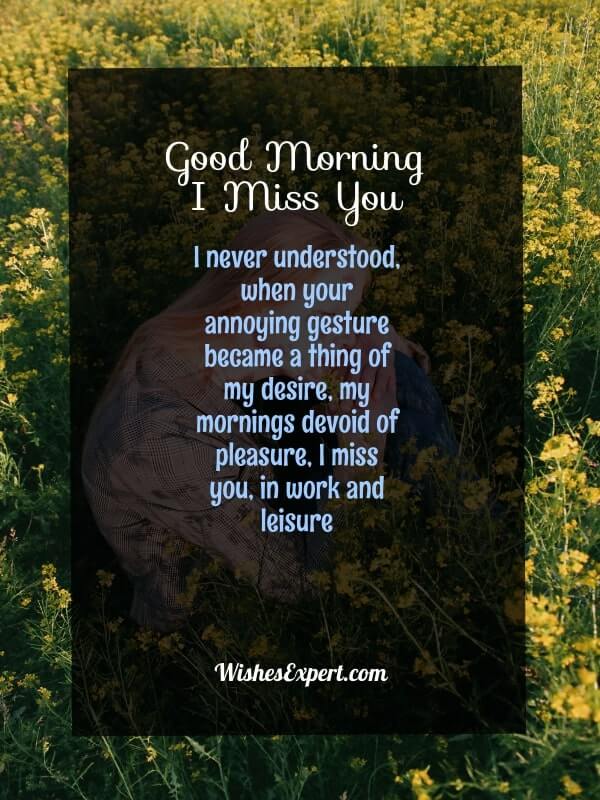 25+ Good Morning Miss You Quotes For Loving One