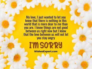 30+ I’m Sorry Apology Paragraphs For Her