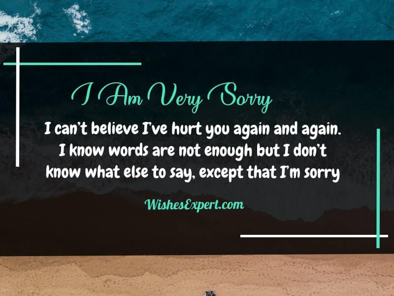 I’m sorry quotes