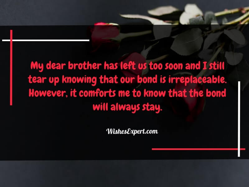 Gone Too Soon Loss of a Brother Quotes