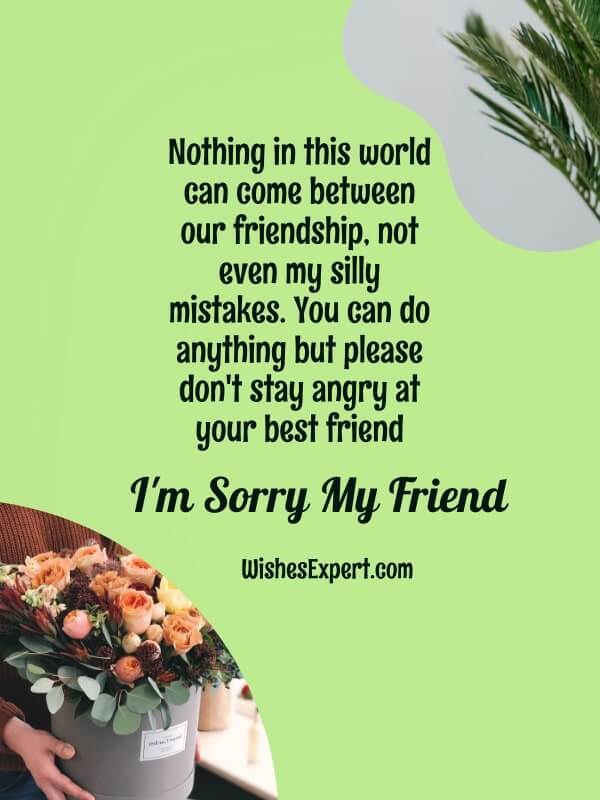 Sorry messages for best friend