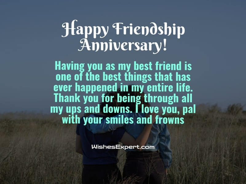 35+ Friendship Anniversary Wishes And Messages – Wishes Expert