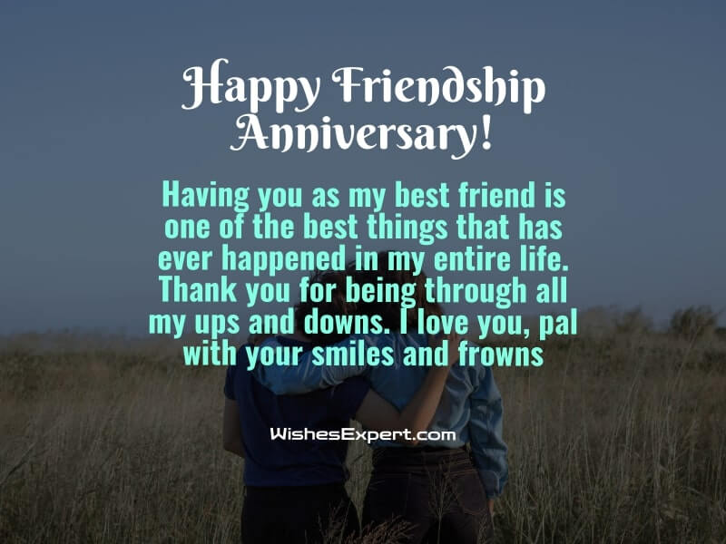 Funny Friendship Anniversary Wishes For Best Friend