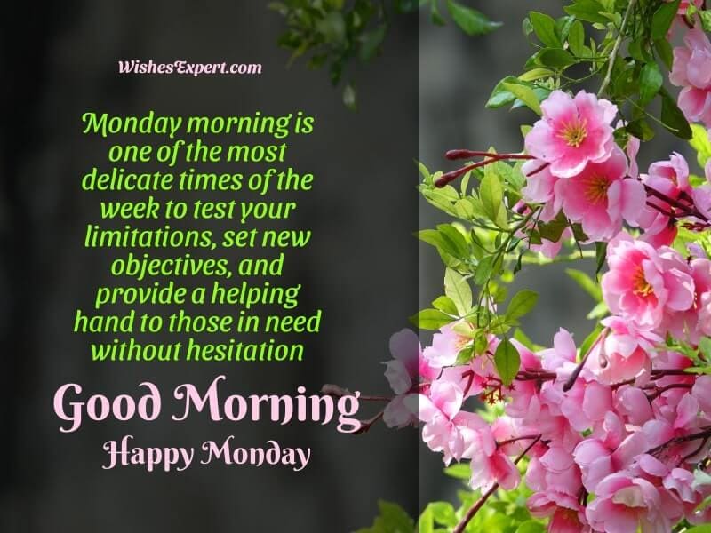 45+ Good Morning Monday Quotes With Images