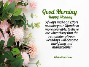 45+ Good Morning Monday Quotes With Images