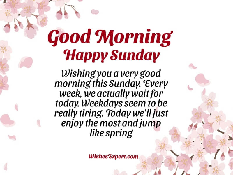 Good Morning Sunday Messages In Hindi - Good Morning Wishes & Images In  Hindi