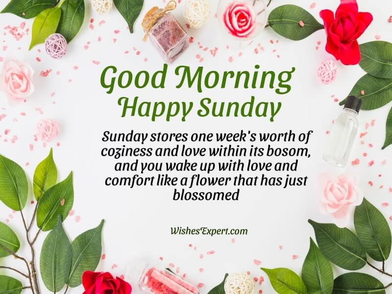 55+ Best Good Morning Sunday Wishes And Quotes