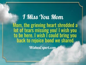 45+ Heartfelt Miss You Mom Quotes