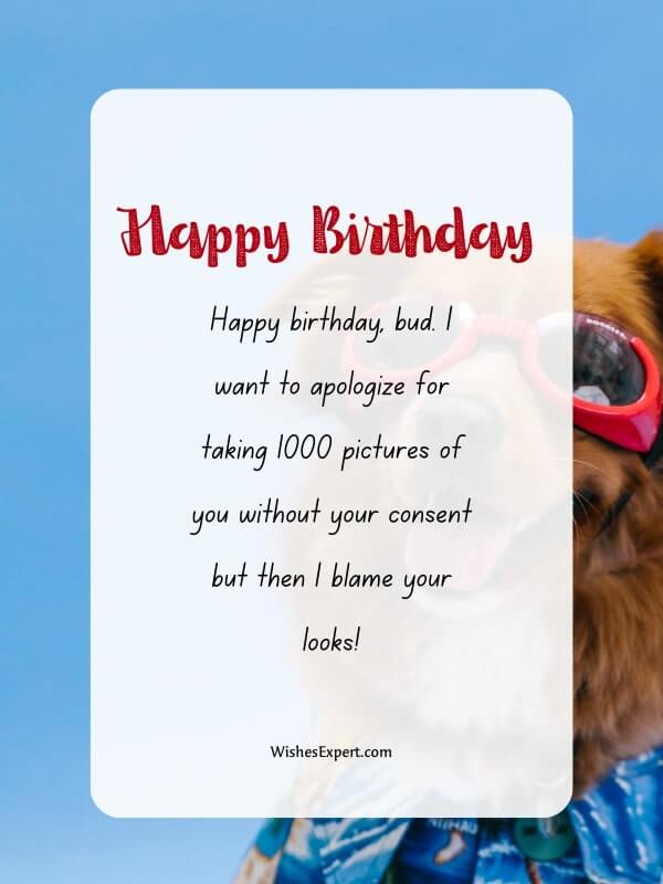 Funny Birthday Wishes For Dog