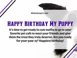 40+ Cute Happy Birthday Wishes For Dog