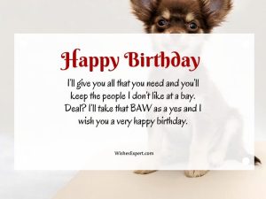 40+ Cute Happy Birthday Wishes For Dog