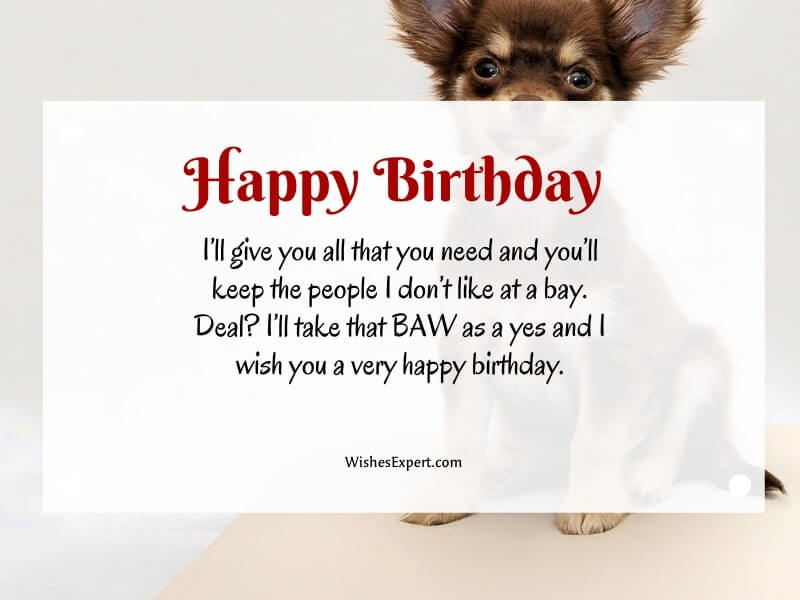 Happy Birthday Wishes For Your Dog