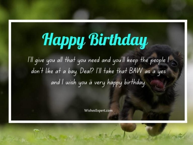 40+ Cute Happy Birthday Wishes For Dog