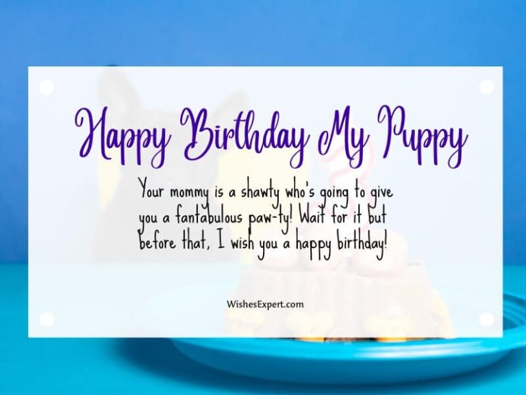 40+ Cute Happy Birthday Wishes For Dog