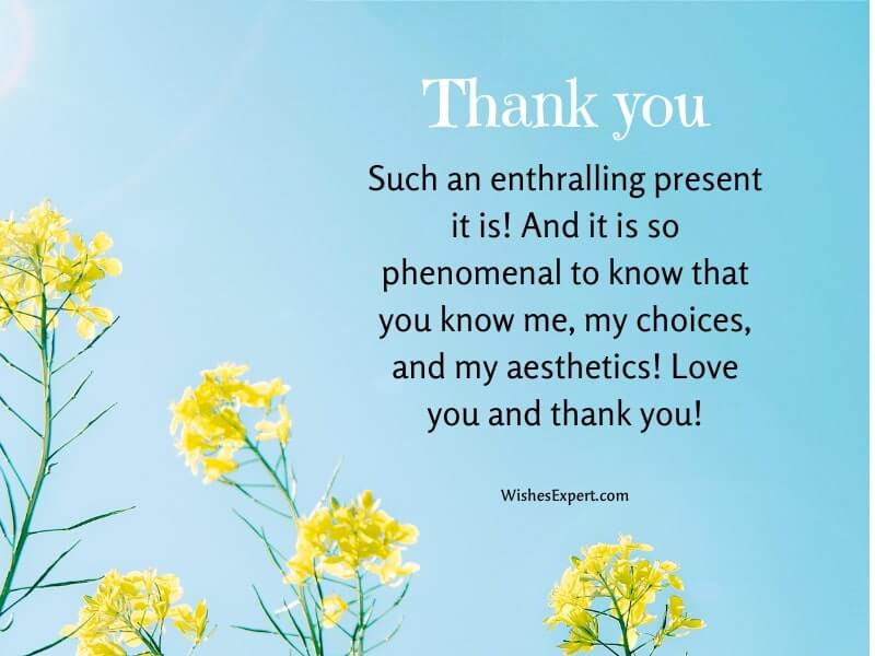 100 Best ThankYou Messages and Quotes for Every Occasion