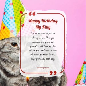 35 Sweet Birthday Wishes For Cat