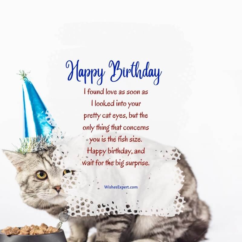 Happy Birthday Cat