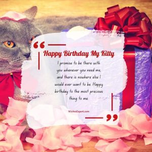 35 Sweet Birthday Wishes For Cat