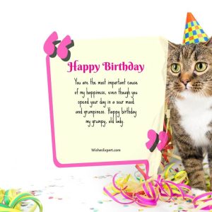 35 Sweet Birthday Wishes For Cat