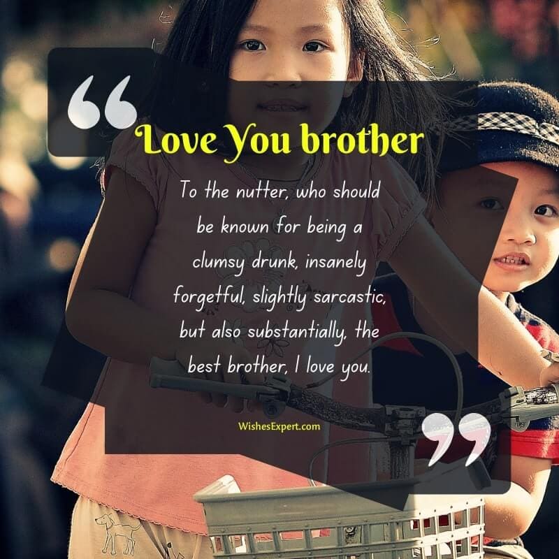 i love you my brother quotes