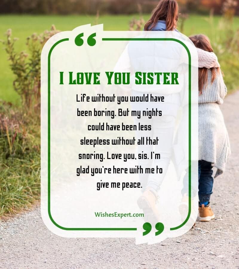 35 Heartfelt I Love You Messages For Sister 7603