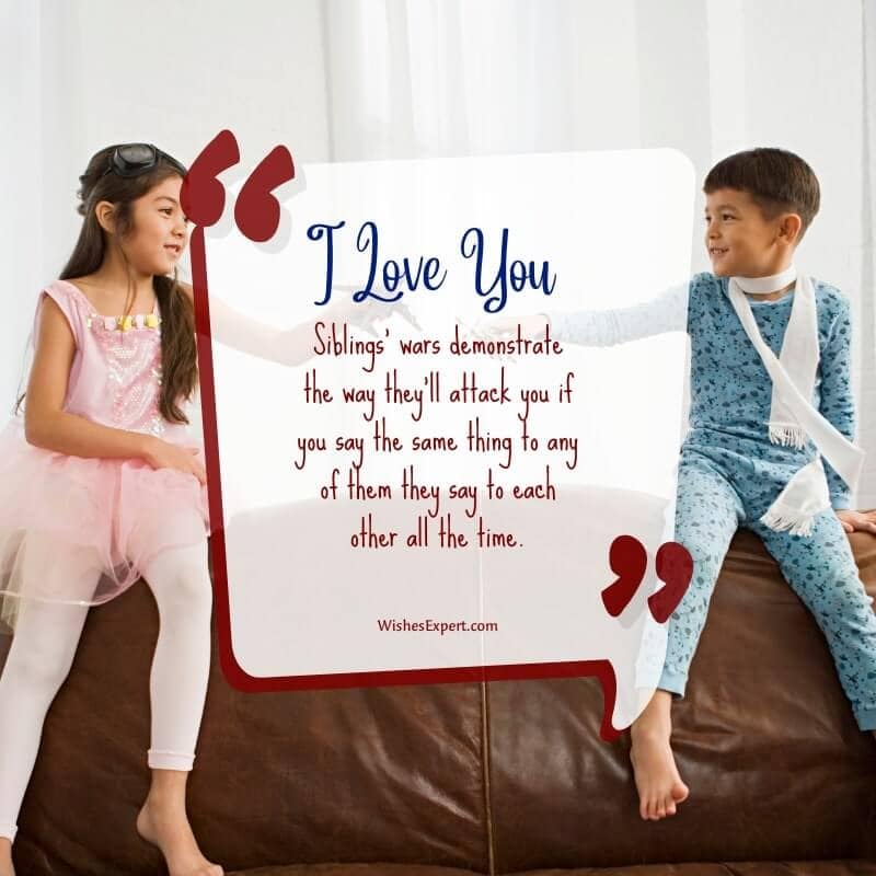 Quotes About Siblings