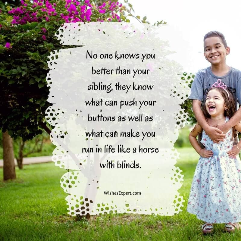 Quotes About Siblings