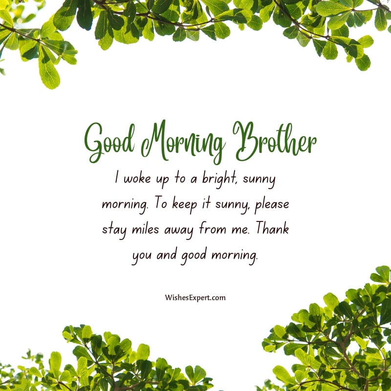 Good-Morning-Brother