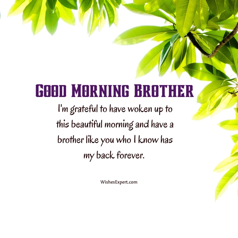 25 Lovely Good Morning Wishes For Brother