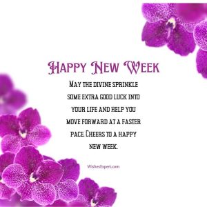 25+ Happy New Week Wishes and Messages – Wishes Expert