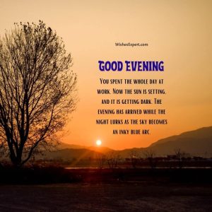 40+ Good Evening Wishes To Send To Your Loved Ones