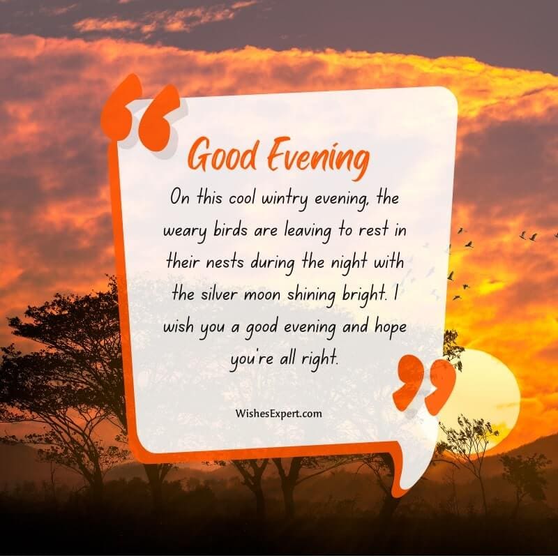 Good Evening Wishes