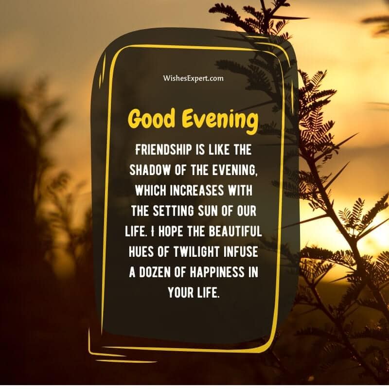 40+ Good Evening Wishes To Send To Your Loved Ones