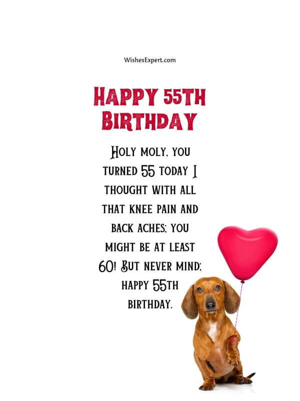 Funny 55th Birthday Wishes