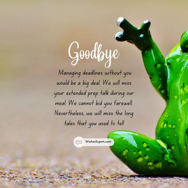 Funny Farewell Messages