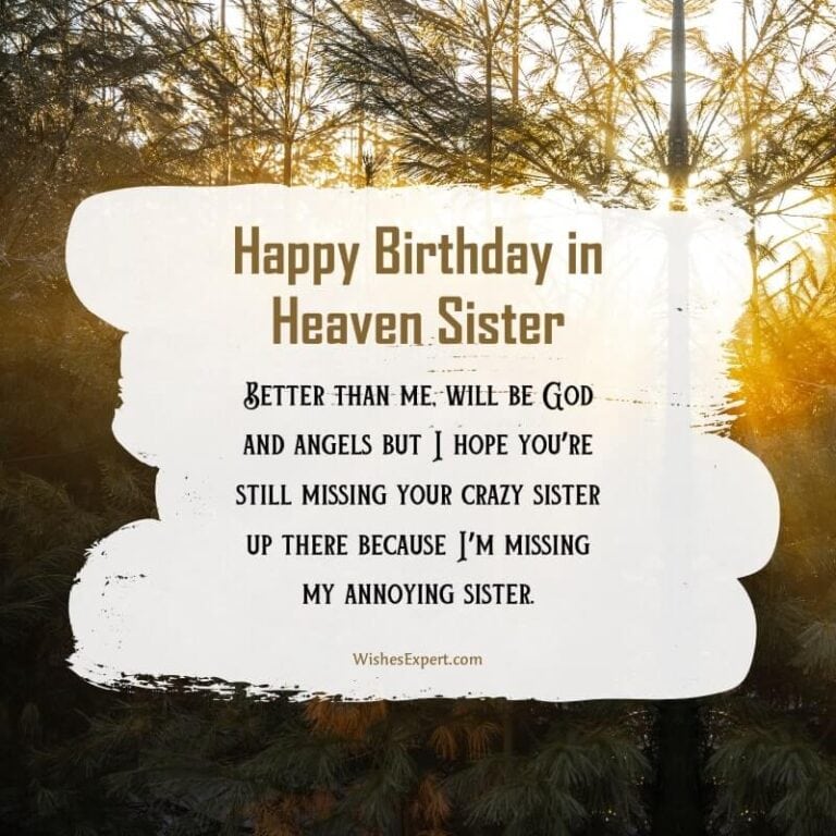 25+ Heartfelt Happy Birthday in Heaven Sister Wishes