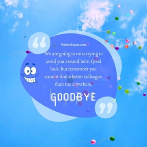 28 Funny Farewell Messages And Quotes