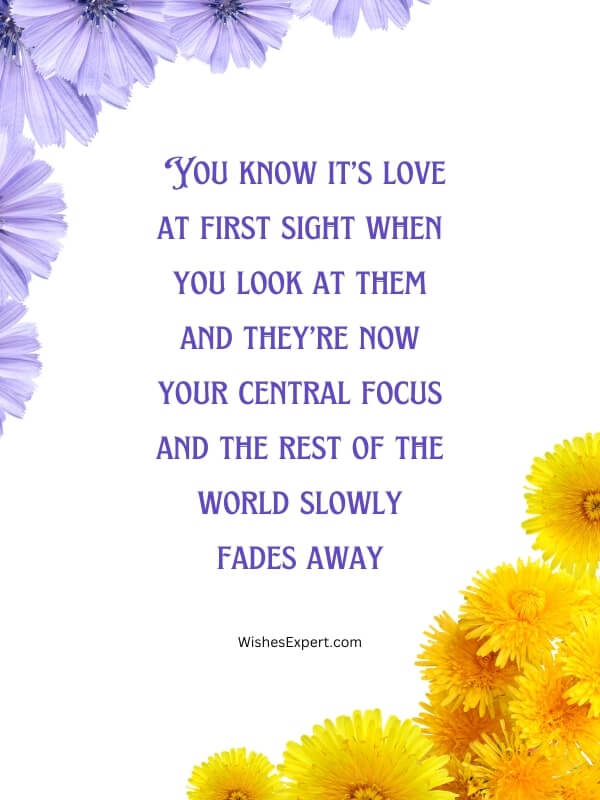 Quotes To Express Love At First Sight